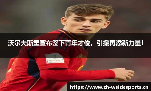 沃尔夫斯堡宣布签下青年才俊，引援再添新力量!